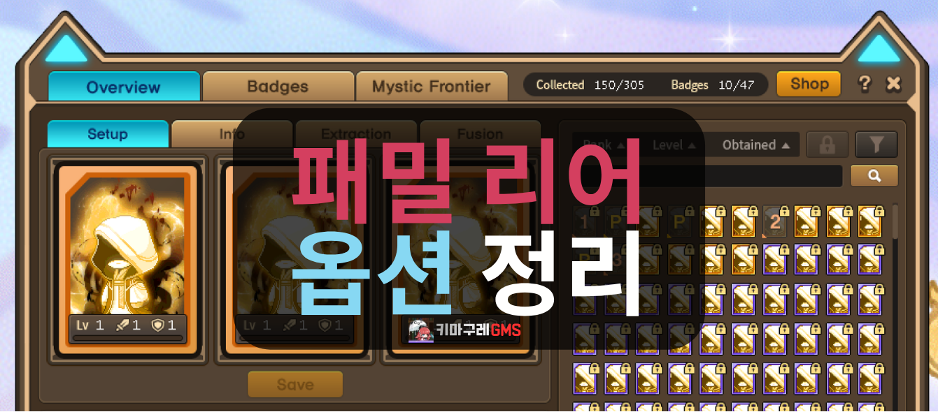 GMS 패밀리어(Familiar) 콘텐츠 설명과 유효 옵션 정리표